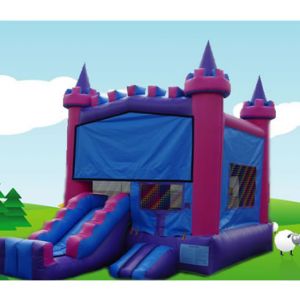 Purple Bounce House Jumper Rentals in North County