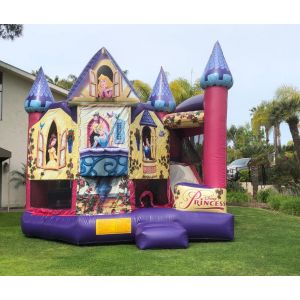 Princess Combo Jumper 5 in 1 Rentals in North County