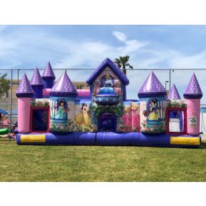 Disney Princess Palace Jumper Rentals in North County