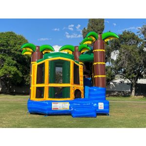 Backyard Tropical Combo (sku C326)