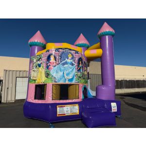 Backyard Dazzling Princess (sku C327-princess-banners)