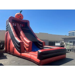 Giant Pumpkin Dry slide (sku D351)