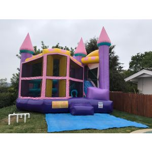 Queen Castle 5 In 1 Combo Slide Rentals in North County