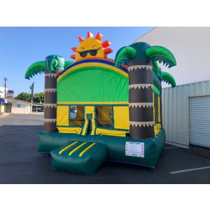 Summer Tropical Jumper Rentals in Jumper Rentals in North County
