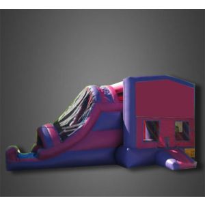 Purple Slide Combo Jumper  Rentals in North County